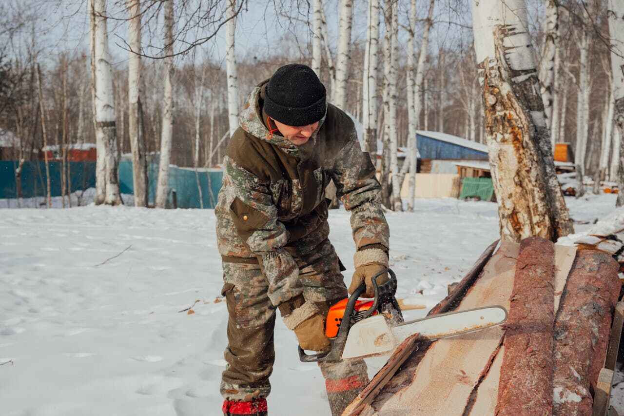 Attica, MI Tree Service Company